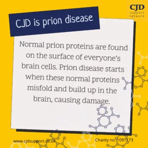 The CJD Support Network logo is shown and then the text 'Did you know today, November 12th is International Creutzfeldt-Jakob Disease (CJD) Awareness Day)'. The image shows the hashtags #PrionDiseaseAwareness and #CJDAwareness. It shows the website www.cjdsupport.co.uk and lists the charity number as 1097173.